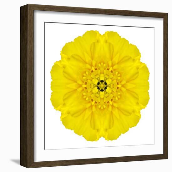 Yellow Concentric Marigold Mandala Flower-tr3gi-Framed Art Print