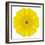 Yellow Concentric Marigold Mandala Flower-tr3gi-Framed Art Print