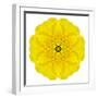 Yellow Concentric Marigold Mandala Flower-tr3gi-Framed Art Print