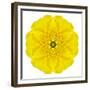 Yellow Concentric Marigold Mandala Flower-tr3gi-Framed Premium Giclee Print