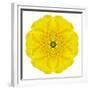 Yellow Concentric Marigold Mandala Flower-tr3gi-Framed Premium Giclee Print