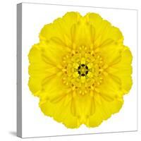 Yellow Concentric Marigold Mandala Flower-tr3gi-Stretched Canvas