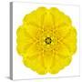 Yellow Concentric Marigold Mandala Flower-tr3gi-Stretched Canvas