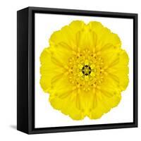 Yellow Concentric Marigold Mandala Flower-tr3gi-Framed Stretched Canvas