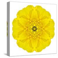 Yellow Concentric Marigold Mandala Flower-tr3gi-Stretched Canvas