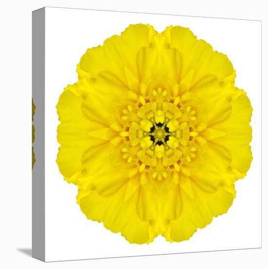 Yellow Concentric Marigold Mandala Flower-tr3gi-Stretched Canvas