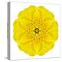 Yellow Concentric Marigold Mandala Flower-tr3gi-Stretched Canvas