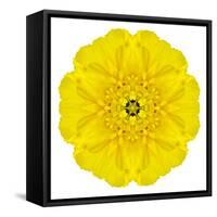 Yellow Concentric Marigold Mandala Flower-tr3gi-Framed Stretched Canvas