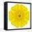 Yellow Concentric Marigold Mandala Flower-tr3gi-Framed Stretched Canvas