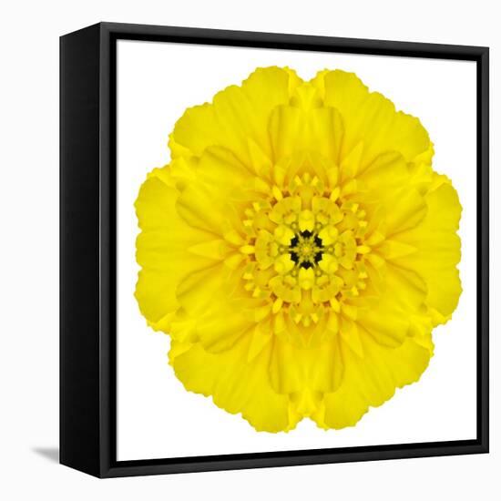 Yellow Concentric Marigold Mandala Flower-tr3gi-Framed Stretched Canvas