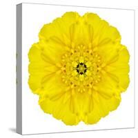 Yellow Concentric Marigold Mandala Flower-tr3gi-Stretched Canvas