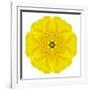 Yellow Concentric Marigold Mandala Flower-tr3gi-Framed Art Print