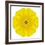 Yellow Concentric Marigold Mandala Flower-tr3gi-Framed Art Print