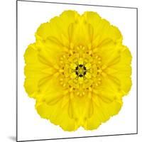 Yellow Concentric Marigold Mandala Flower-tr3gi-Mounted Art Print