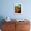 Yellow Coral (Tubastrea faulkneri) and yellow crinoid in reef habitat, Horseshoe Bay, Rinca Island-Colin Marshall-Framed Photographic Print displayed on a wall