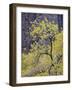 Yellow Cottonwood in the Fall, Zion National Park, Utah, USA-James Hager-Framed Photographic Print