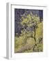 Yellow Cottonwood in the Fall, Zion National Park, Utah, USA-James Hager-Framed Photographic Print