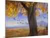 Yellow Cottonwood-Chris Vest-Mounted Photographic Print