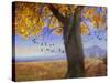 Yellow Cottonwood-Chris Vest-Stretched Canvas