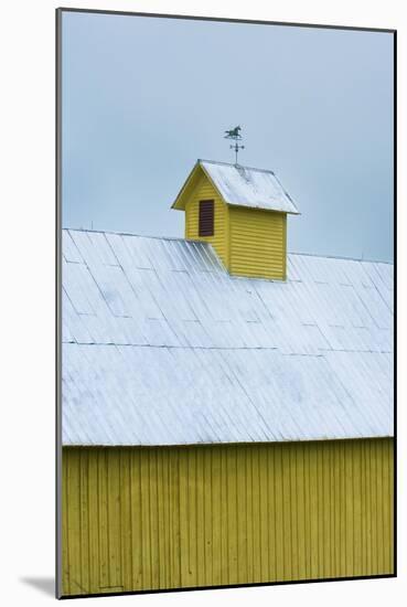 Yellow Cupula-Brenda Petrella Photography LLC-Mounted Giclee Print