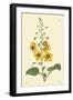 Yellow Curtis Botanical II-Vision Studio-Framed Art Print