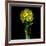 Yellow Daffodil Bouquet-Magda Indigo-Framed Photographic Print