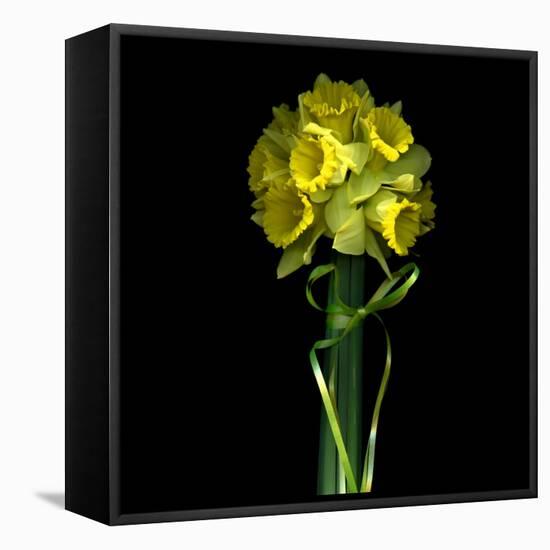 Yellow Daffodil Bouquet-Magda Indigo-Framed Stretched Canvas