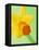 Yellow daffodil-null-Framed Stretched Canvas