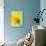 Yellow daffodil-null-Photographic Print displayed on a wall