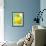 Yellow daffodil-null-Framed Photographic Print displayed on a wall