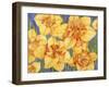 Yellow Daffodils-Mary Russel-Framed Giclee Print