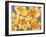 Yellow Daffodils-Mary Russel-Framed Giclee Print