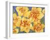 Yellow Daffodils-Mary Russel-Framed Giclee Print