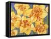 Yellow Daffodils-Mary Russel-Framed Stretched Canvas