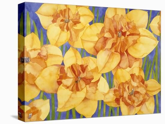 Yellow Daffodils-Mary Russel-Stretched Canvas