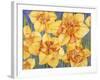 Yellow Daffodils-Mary Russel-Framed Giclee Print