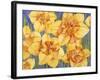 Yellow Daffodils-Mary Russel-Framed Giclee Print