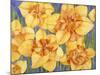 Yellow Daffodils-Mary Russel-Mounted Giclee Print