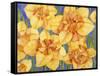 Yellow Daffodils-Mary Russel-Framed Stretched Canvas