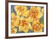 Yellow Daffodils-Mary Russel-Framed Giclee Print