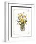 Yellow Daffodils-unknown Capello-Framed Art Print
