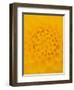 Yellow Dahlia Detail-John McAnulty-Framed Photographic Print