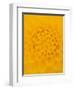 Yellow Dahlia Detail-John McAnulty-Framed Photographic Print