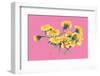 Yellow Dandelions on Pink-Ania Zwara-Framed Photographic Print