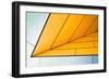 yellow dart-Linda Wride-Framed Art Print