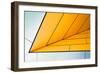 yellow dart-Linda Wride-Framed Art Print