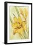 Yellow Day Lily-Cheri Blum-Framed Art Print