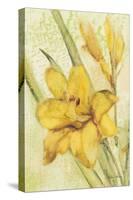 Yellow Day Lily-Cheri Blum-Stretched Canvas