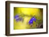 Yellow Depth-Philippe Sainte-Laudy-Framed Photographic Print