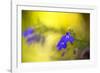 Yellow Depth-Philippe Sainte-Laudy-Framed Photographic Print